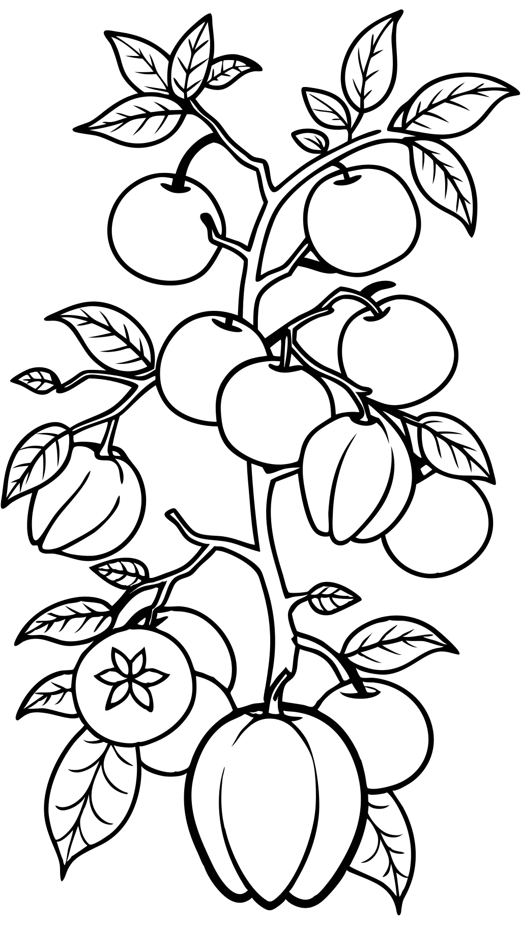 peach coloring pages